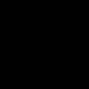 Meet your Posher, Haille